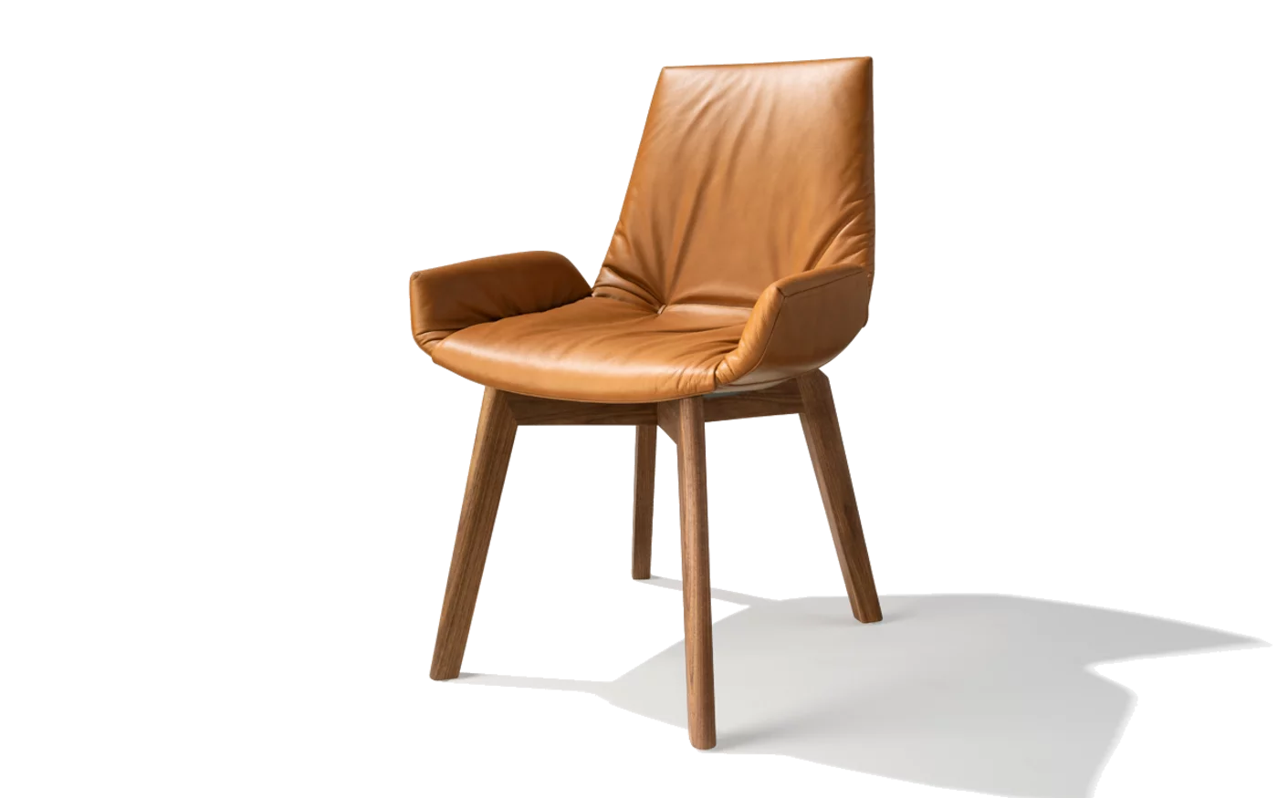 upholstered chair lui plus with wooden frame in walnut