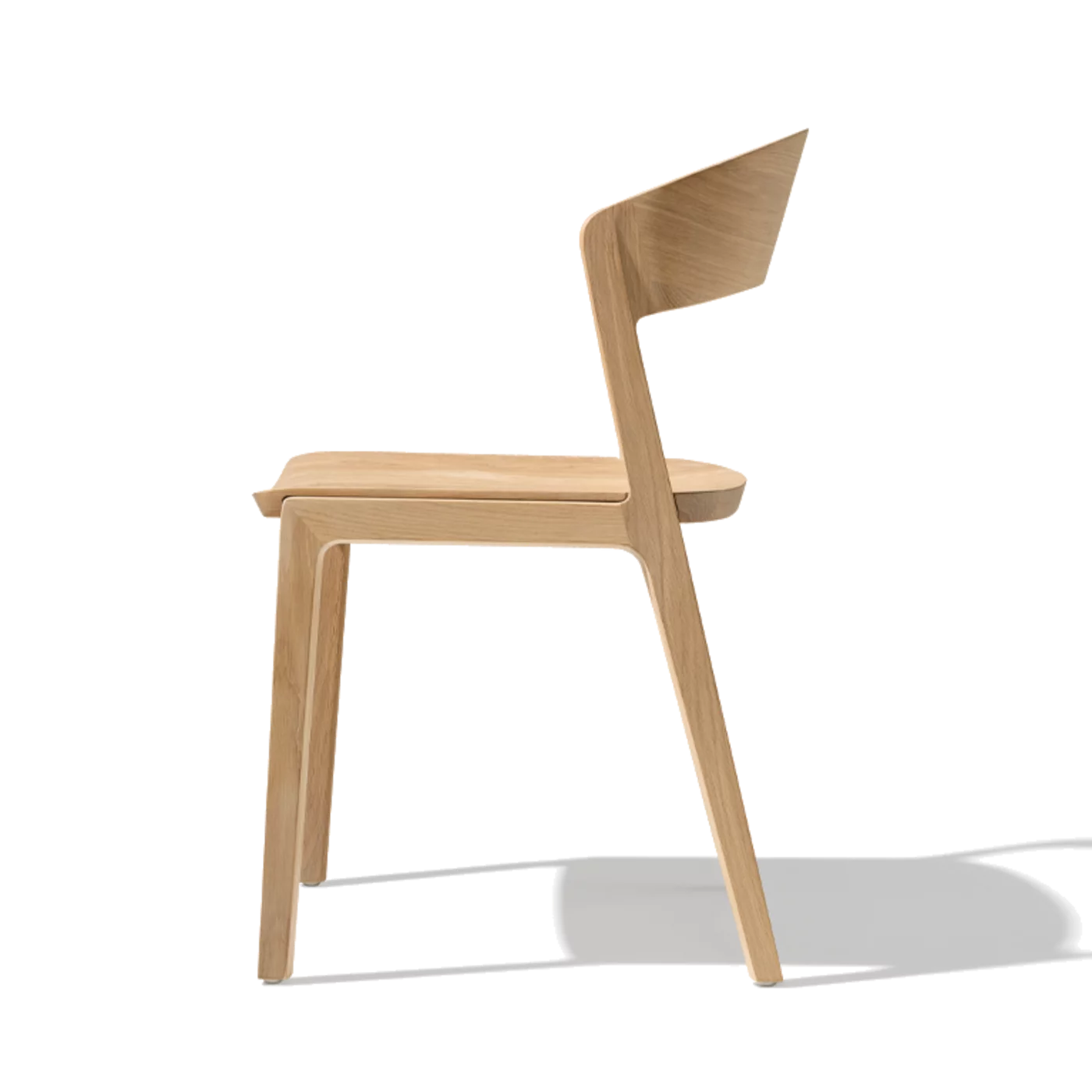 solid wood dining chair, rear view dining chair mylon in solid oak white oil, back view