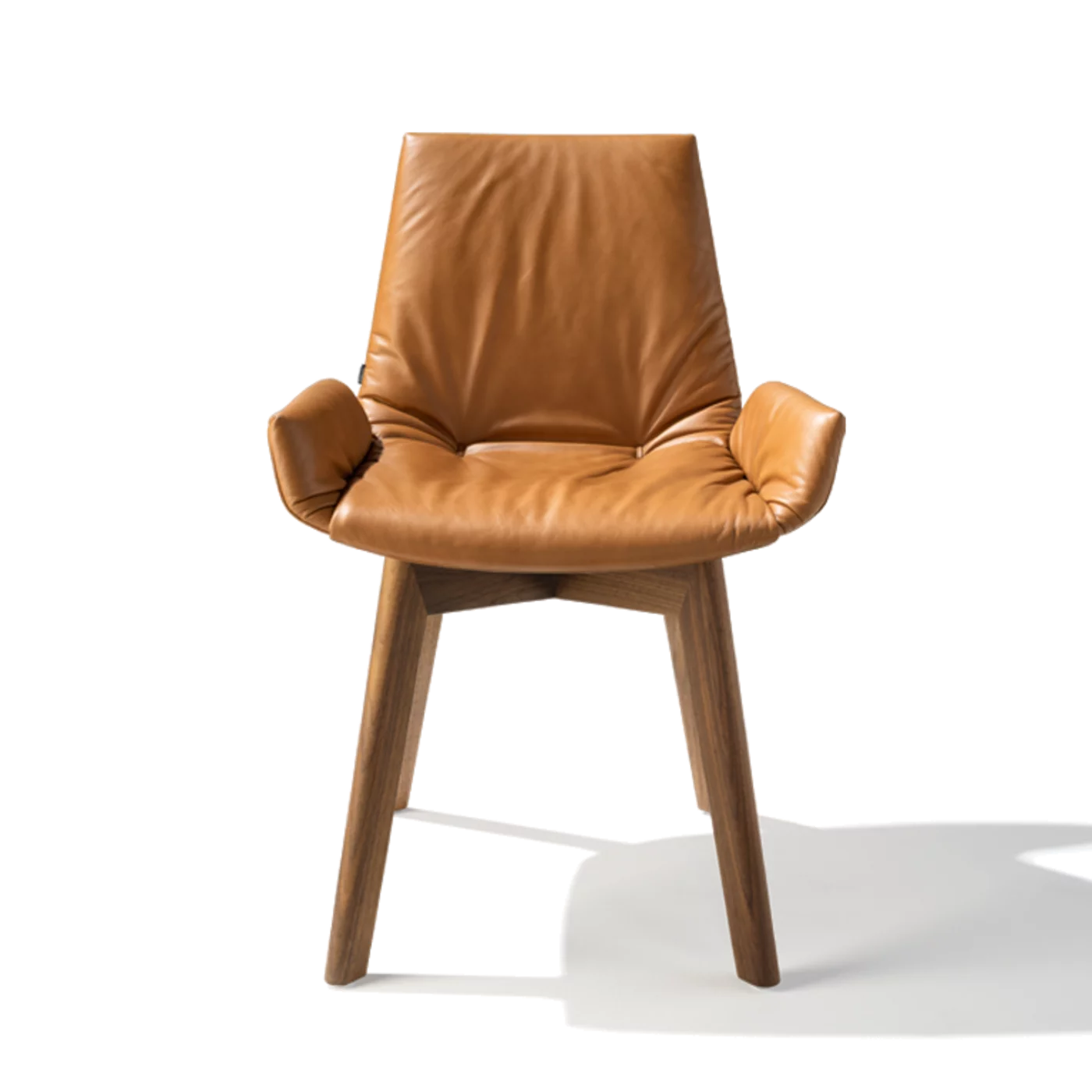 Esszimmerstuhl lui plus mit Holzgestell in der Holzart Nussbaum, Frontalansicht