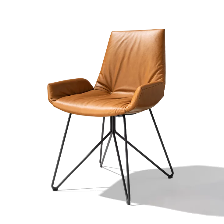 Polsterstuhl Leder lui plus mit komfortabler Sitzschale und Drahtgestell in schwarz matt