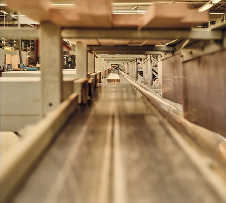 Wooden board on the conveyor belt and on its way to further processing