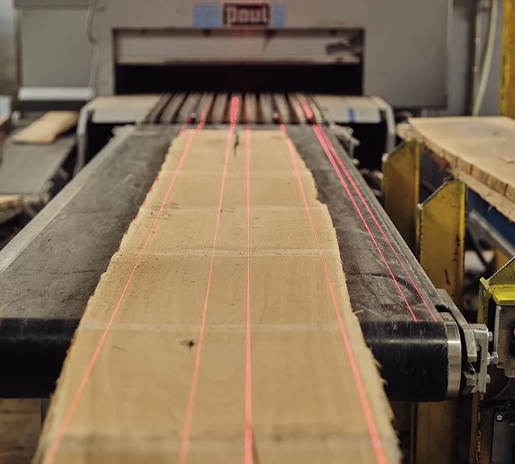 Raw wood board on the way to being cut to size