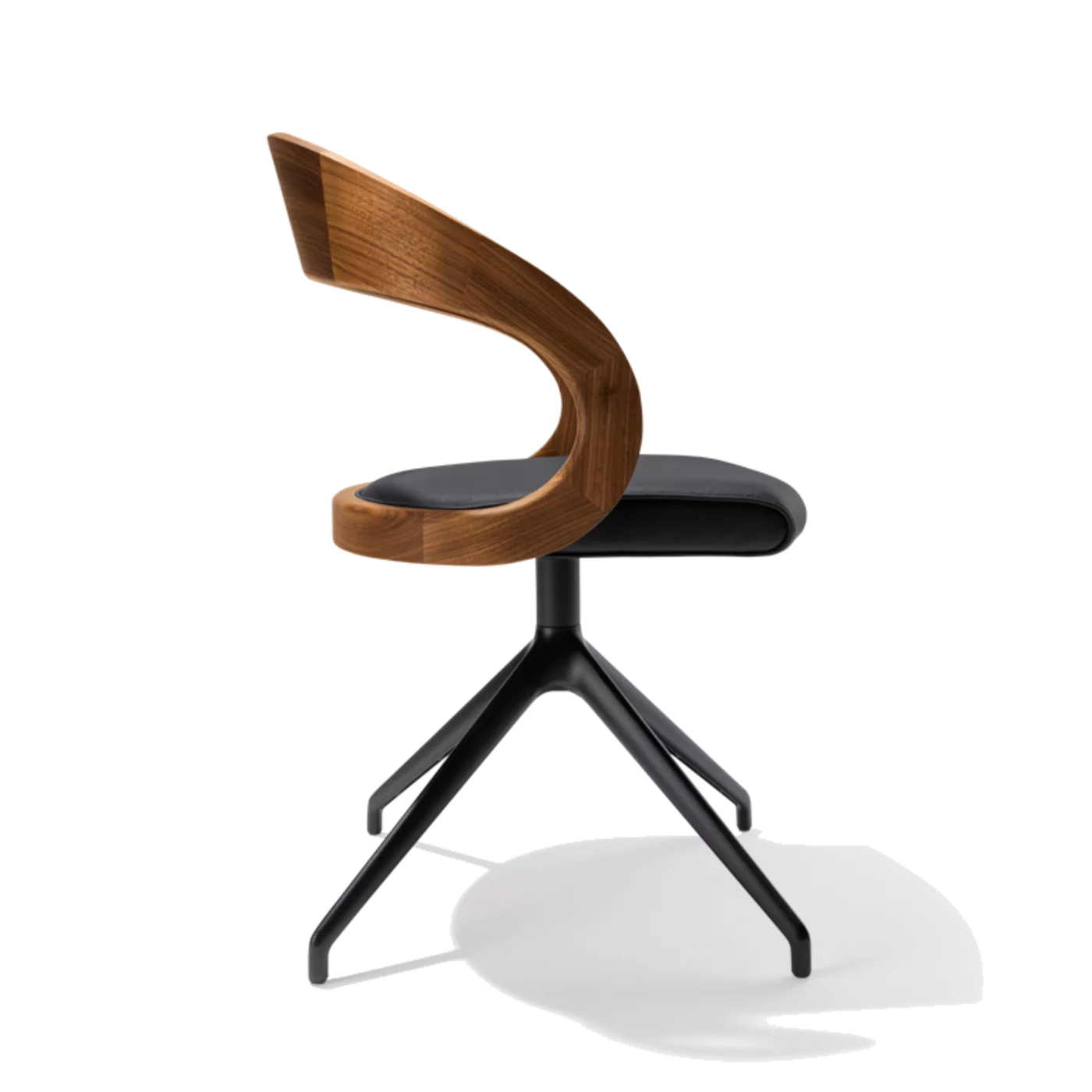 komfortabler Drehstuhl girado mit Ledersitz, Gestell in schwarz matt und Lehne in Nussbaum, Seitenansicht