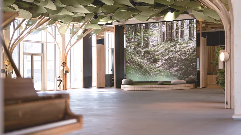 Massivholzflügel aus Nussbaum in Kooperation mit Steinway & Sons im Ort der Begegnung der TEAM 7 Welt