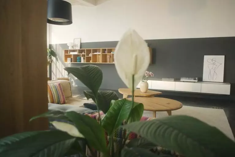 ur coffee table | oak | TEAM 7