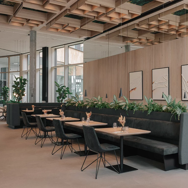 Restaurant seating with solid wood table tops and lui chairs under acoustic ceiling elements in the TEAM 7 world