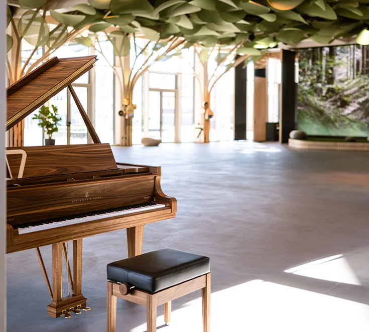 Solid walnut grand piano in cooperation with Steinway & Sons at the place of encounter