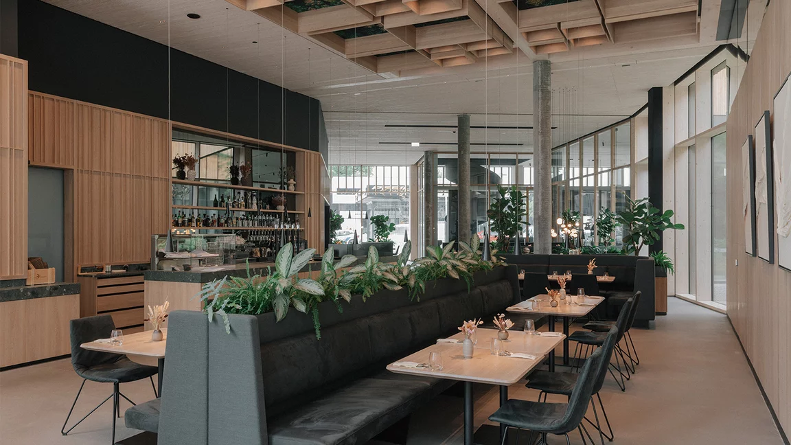 Ceiling elements with room acoustic effect and lighting above restaurant seating with lui chairs in solid oak