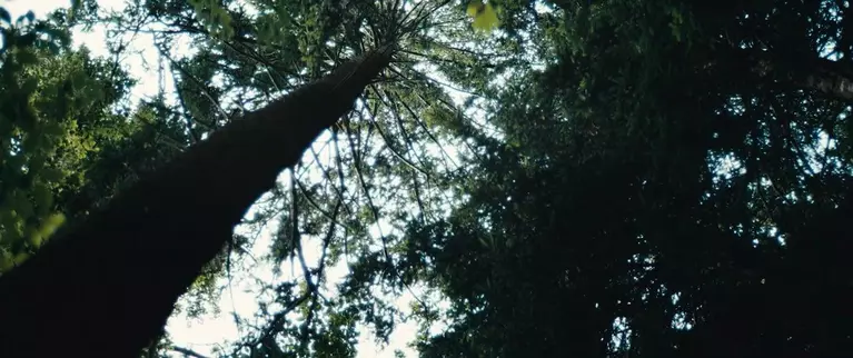 TEAM7_Imagevideo_randlos