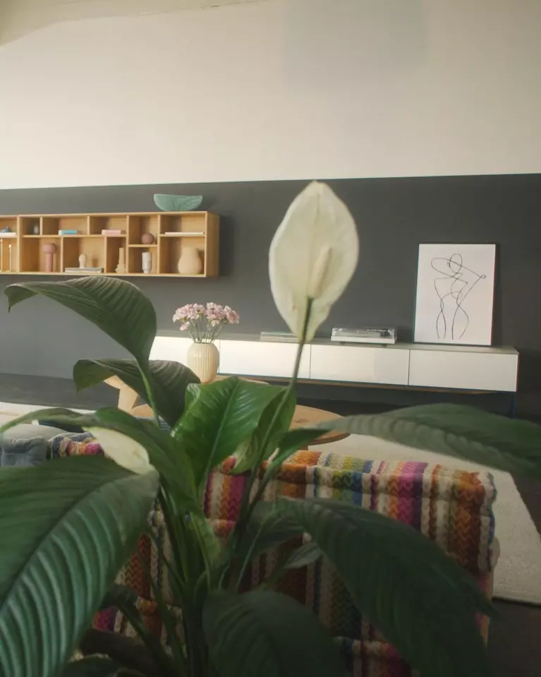 cubus pure wall unit | oak | TEAM 7