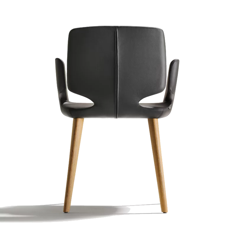 upholstered chair aye in fabric with wooden frame in solid oak, back view